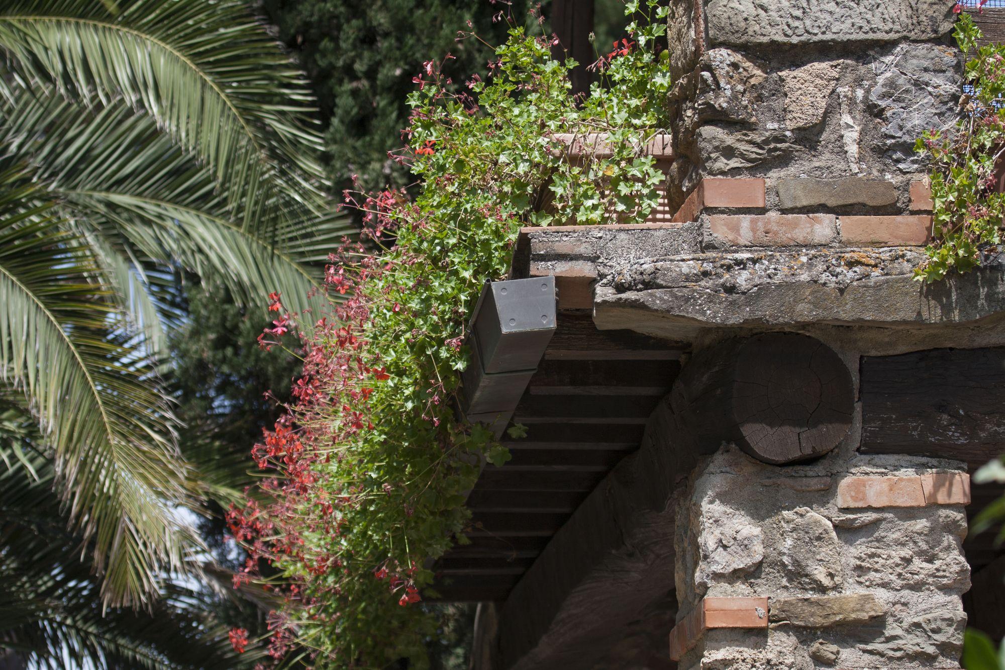 Tenuta Aronne Massa Marittima Exterior photo